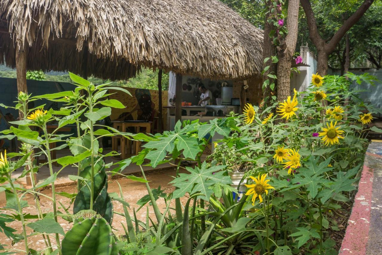 Hostel Hipilandia Таганга Экстерьер фото